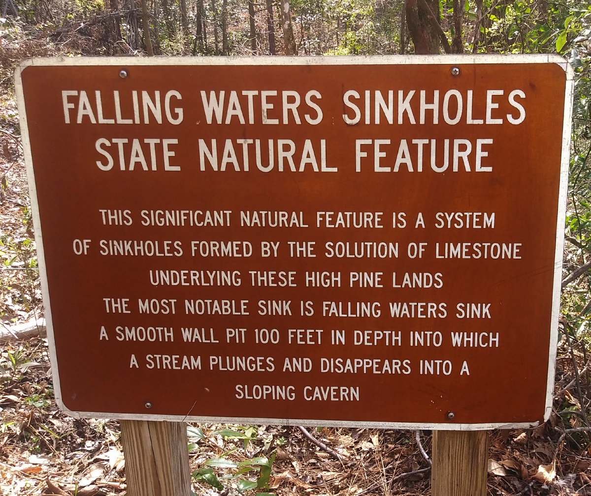 D Falling Waters State Park Florida 3