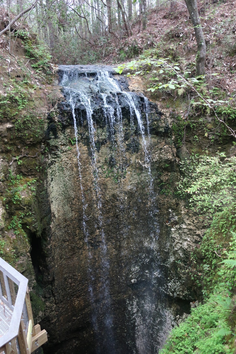 D Falling Waters State Park Florida 4b