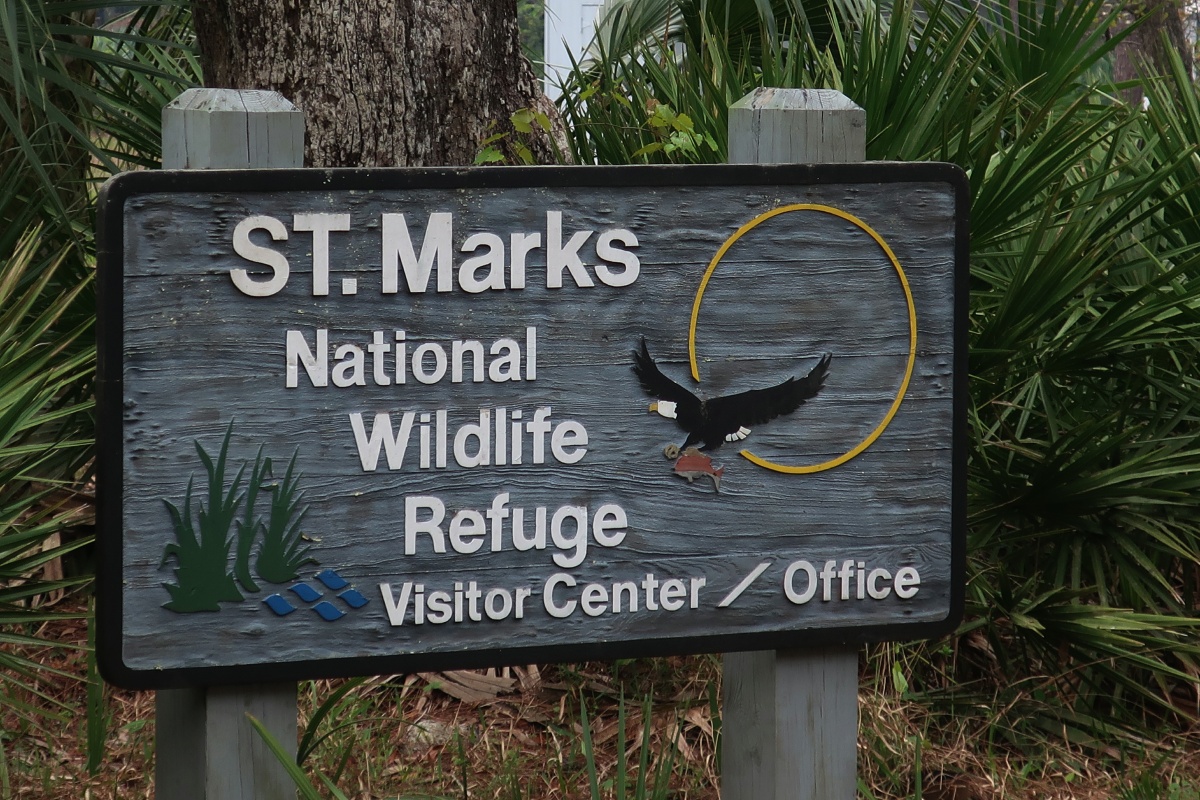 H 1 St. Mark National Wildlife Refuge 0794