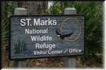 H 1 St. Mark National Wildlife Refuge 0794