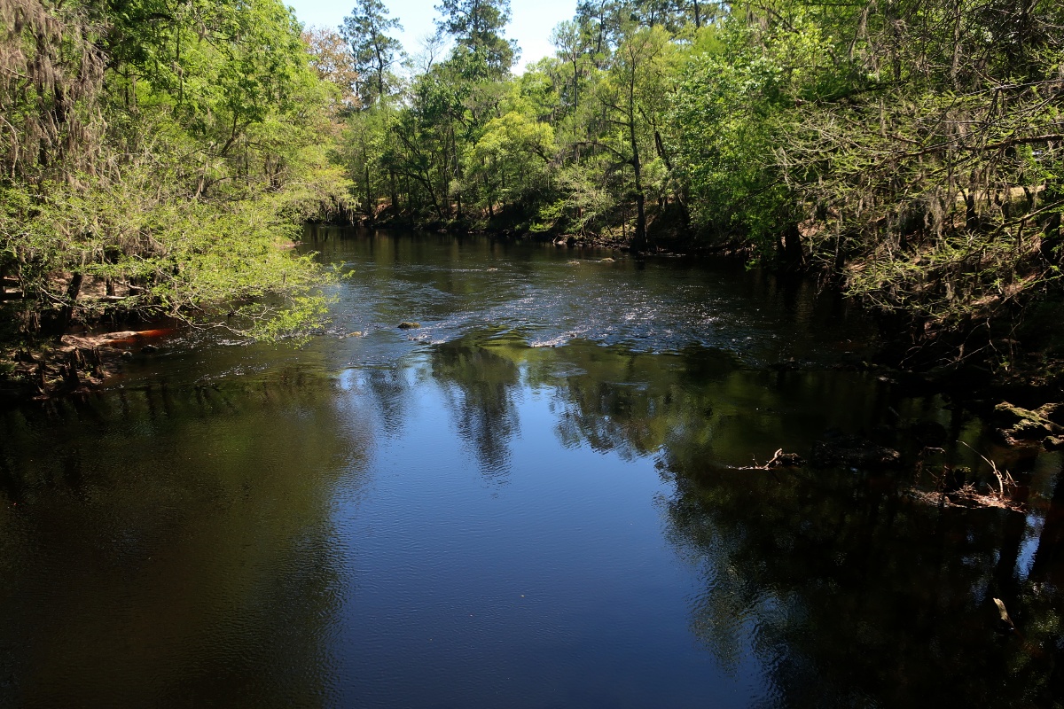 B O'Leno State Park 0823