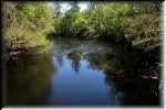 B O'Leno State Park 0823