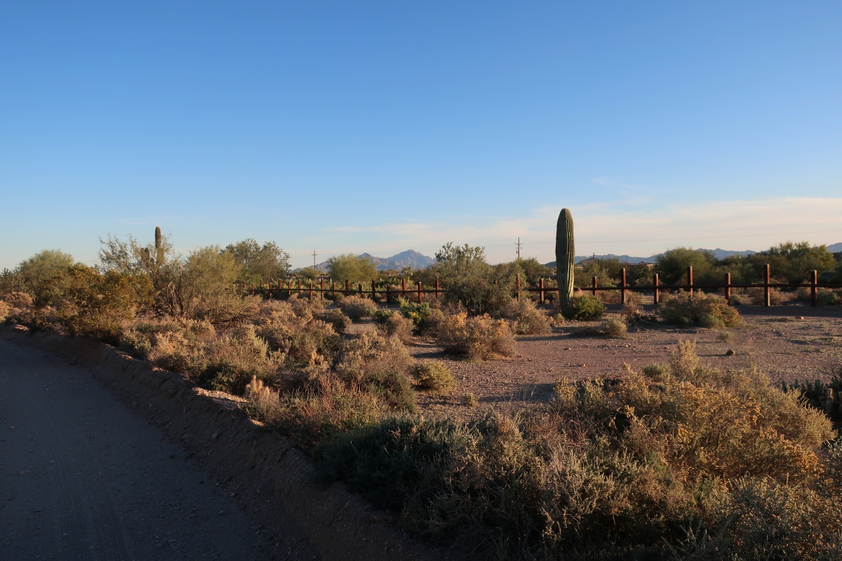 Organ Pipe Cactus National Monument Fence to MexicoIMG_0769