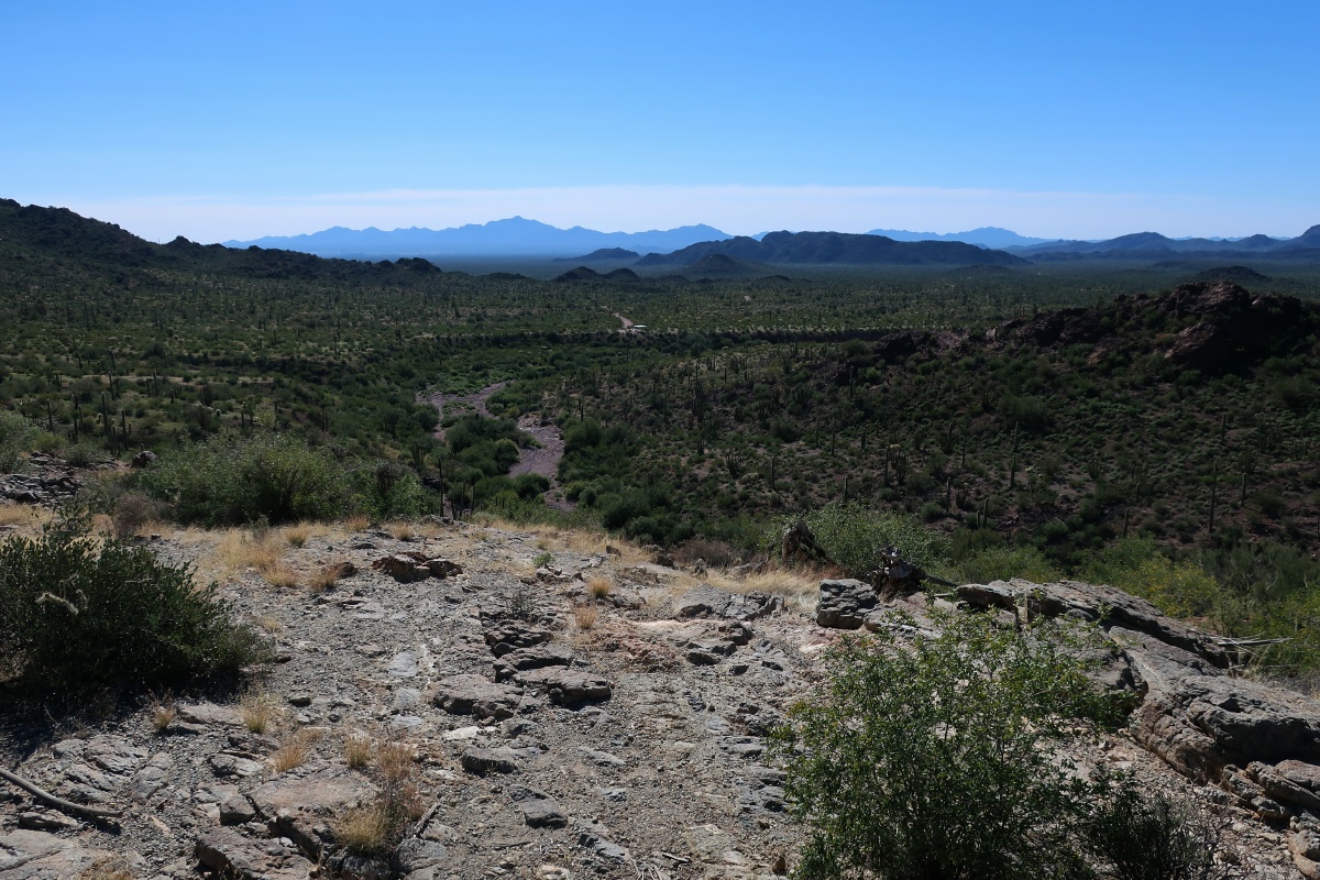 Organ Pipe Cactus National Monument IMG_0748