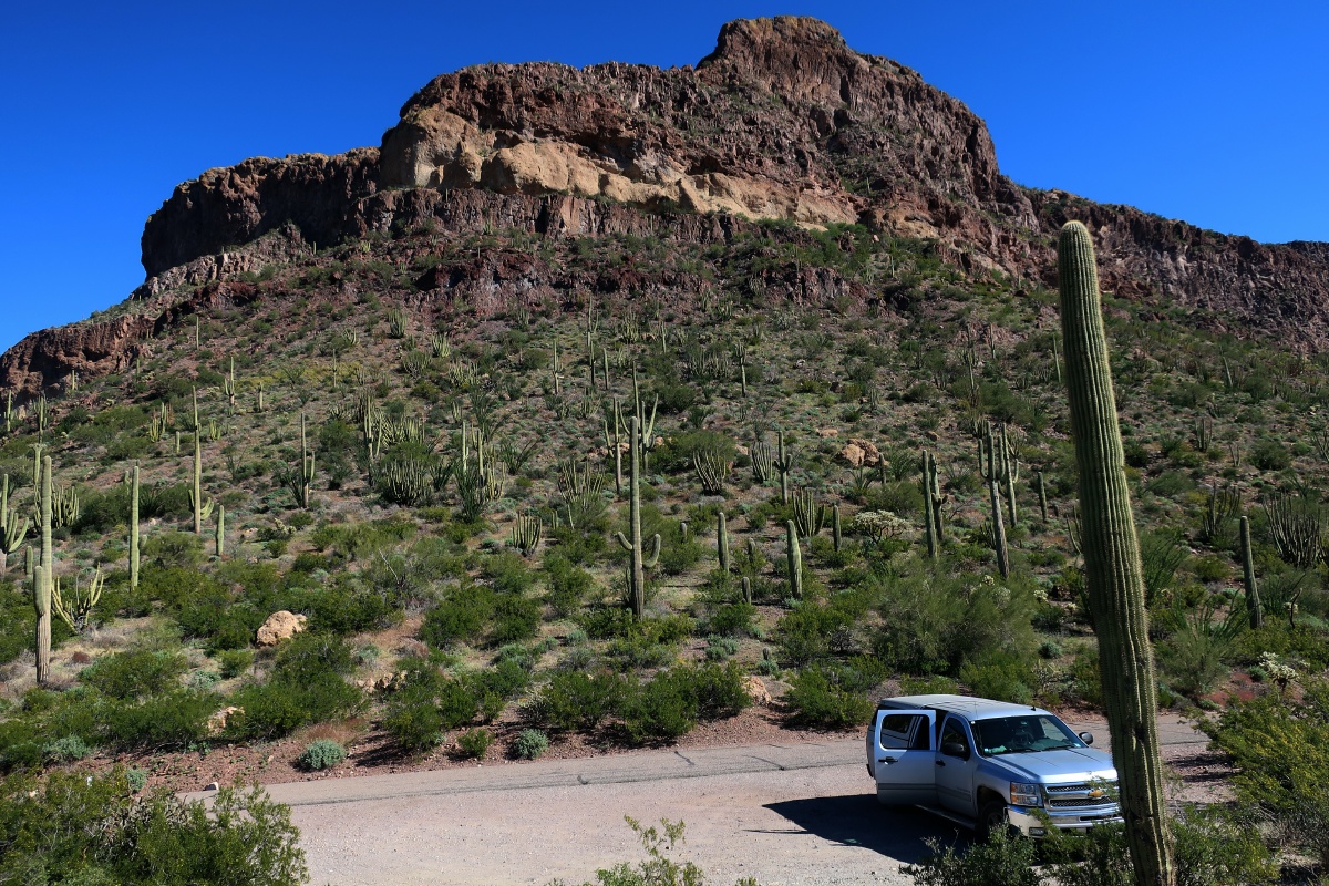 Organ Pipe Cactus National Monument IMG_0750