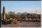 Organ Pipe Cactus National Monument Fence to Mexico IMG_0770