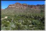 Organ Pipe Cactus National Monument IMG_0736