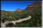 Organ Pipe Cactus National Monument IMG_0738