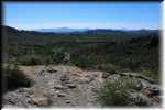 Organ Pipe Cactus National Monument IMG_0748