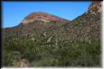 Organ Pipe Cactus National Monument IMG_0752