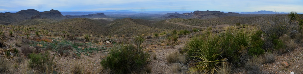 D_Untitled_Panorama1