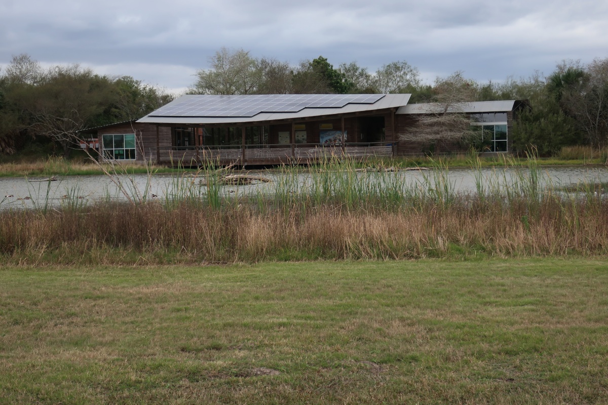 FF Estero Llano Grande State Park 0181