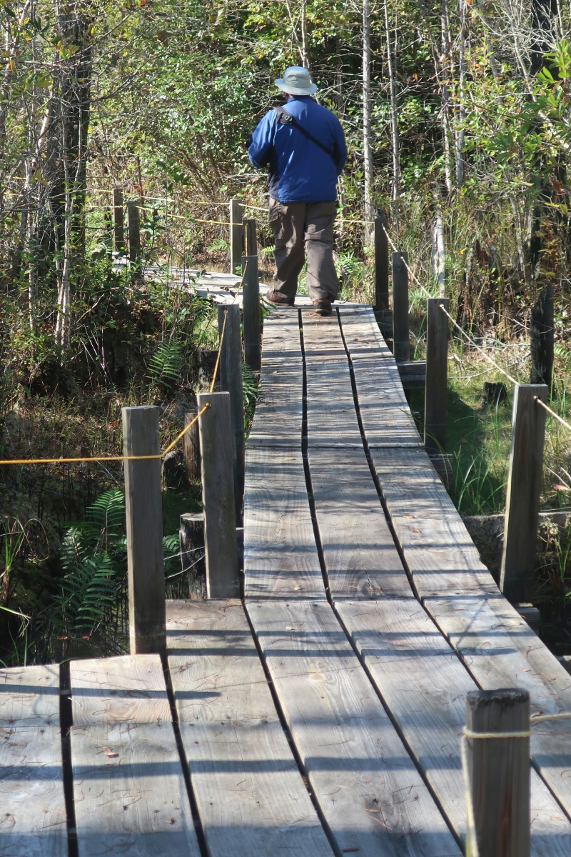 T Okefenokee Swamp Park 0956