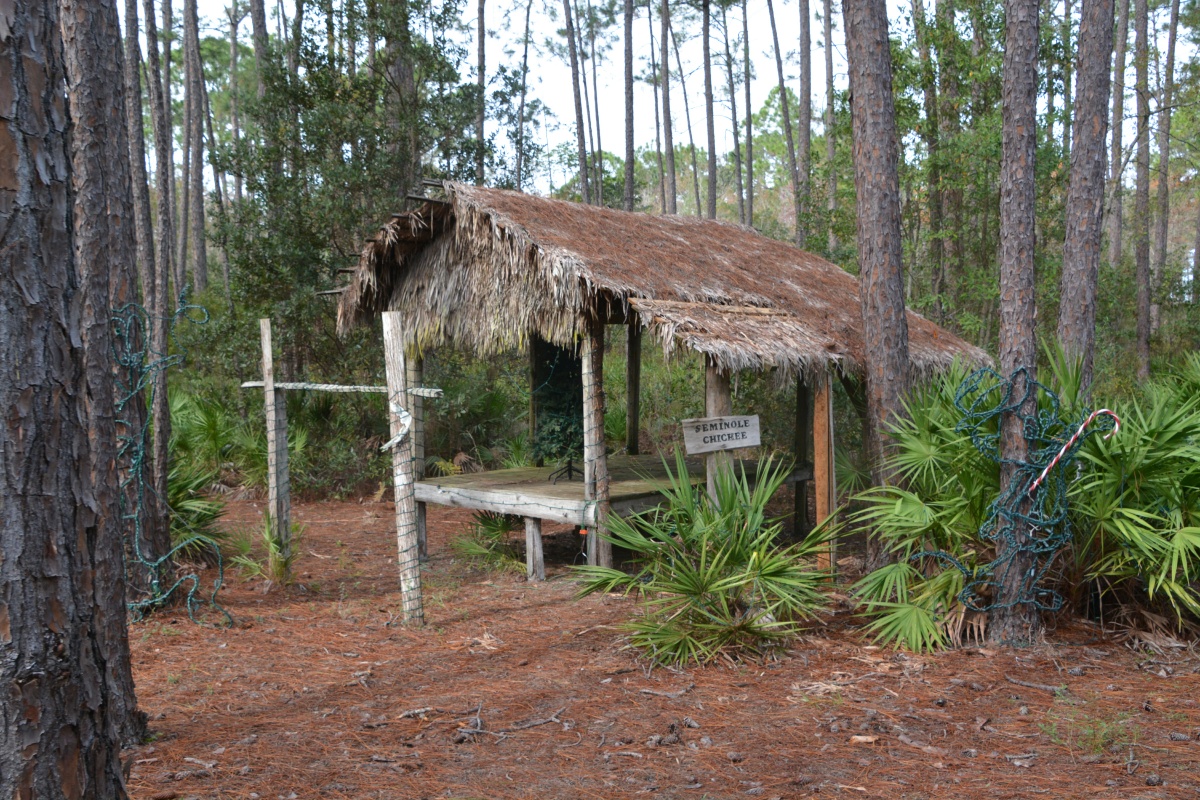 T Okefenokee Swamp Park 6676