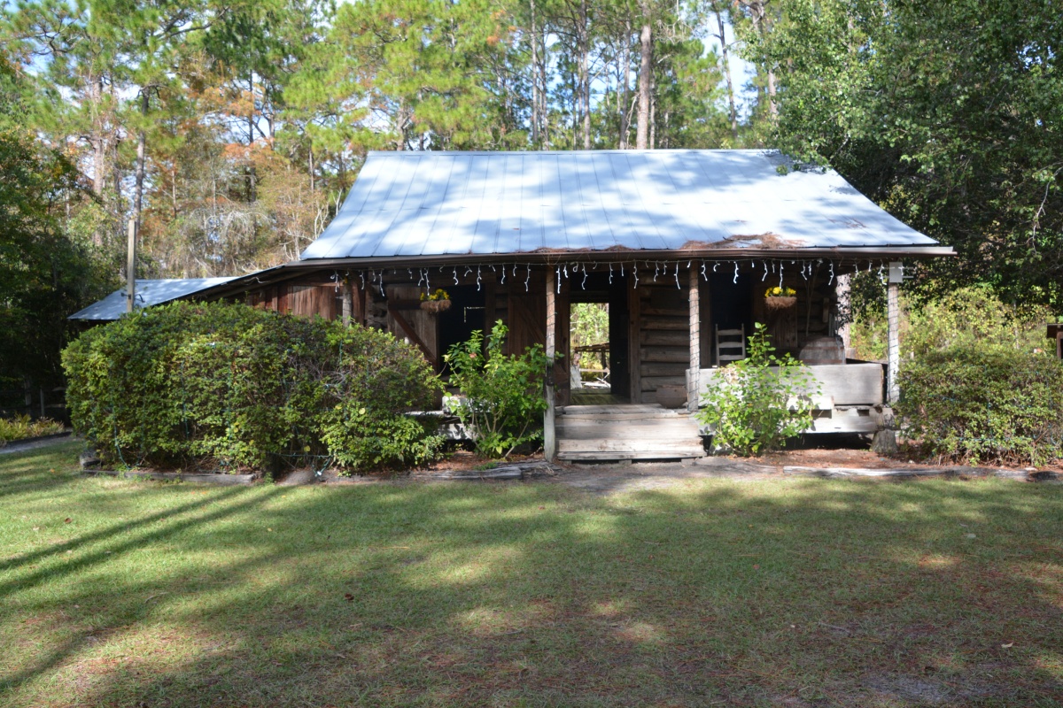 T Okefenokee Swamp Park 6677
