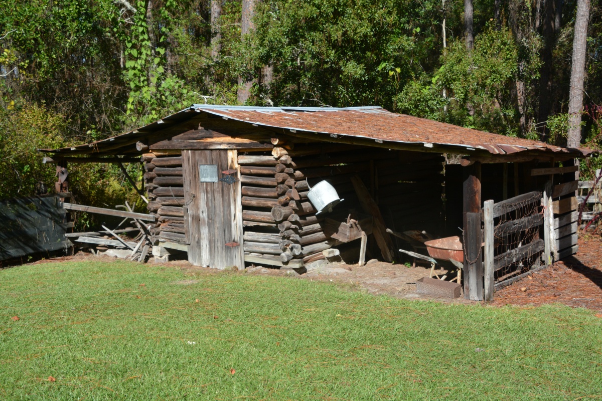 T Okefenokee Swamp Park 6680