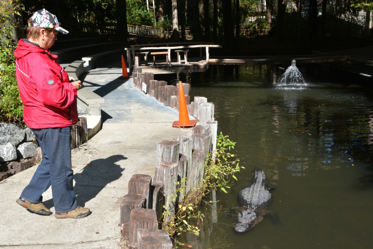 T Okefenokee Swamp Park 6707
