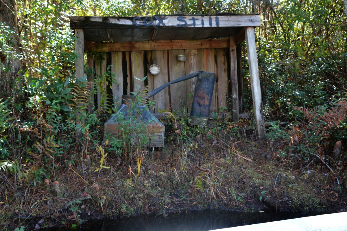 T Okefenokee Swamp Park 6715