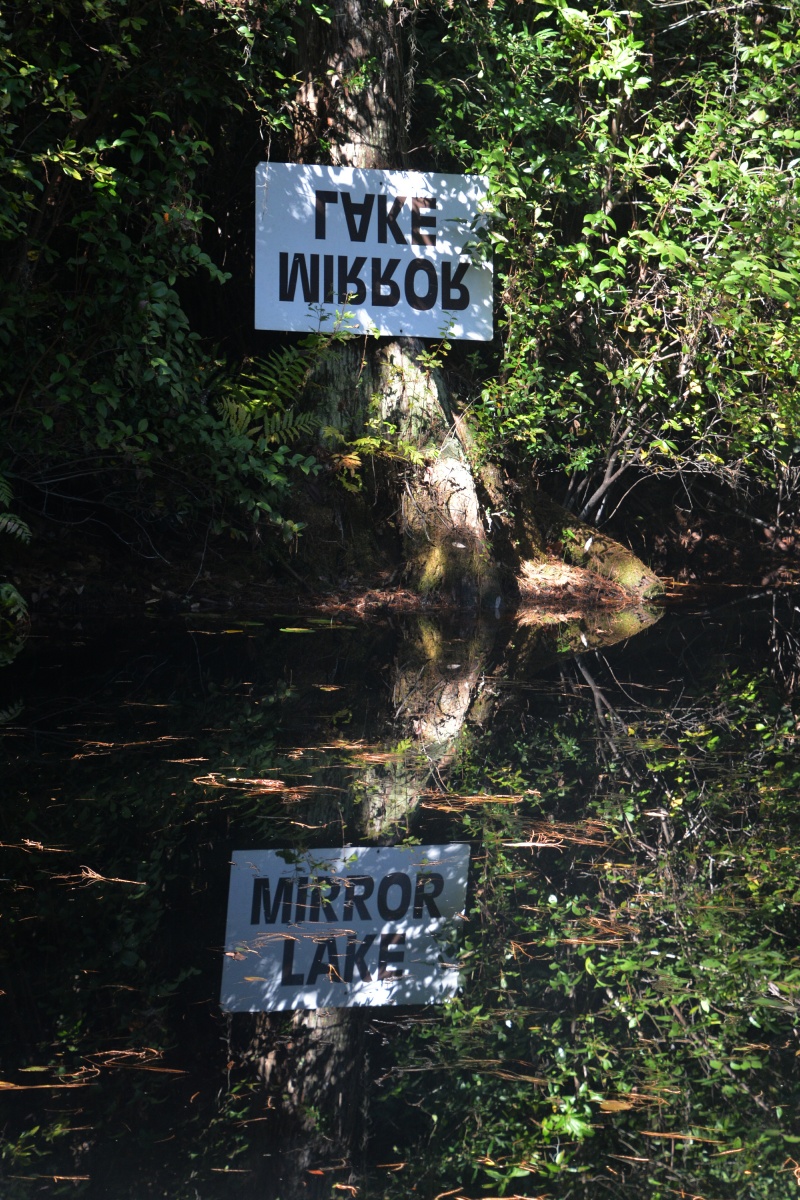 T Okefenokee Swamp Park 6716