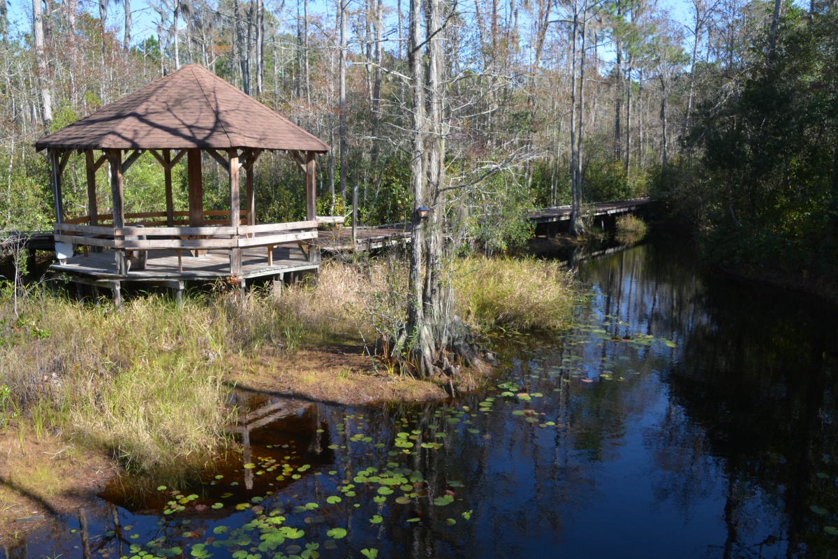 T Okefenokee Swamp Park 6768
