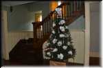 Jekill Island Moss Cottage 6603