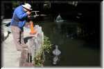 T Okefenokee Swamp Park 0935