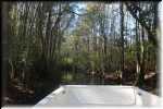 T Okefenokee Swamp Park 0941