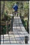 T Okefenokee Swamp Park 0956