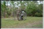 T Okefenokee Swamp Park 6675