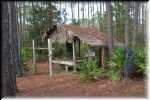 T Okefenokee Swamp Park 6676