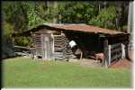 T Okefenokee Swamp Park 6680