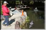 T Okefenokee Swamp Park 6707