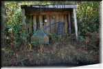 T Okefenokee Swamp Park 6715