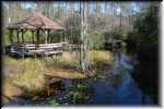 T Okefenokee Swamp Park 6768
