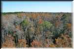 T Okefenokee Swamp Park 6770