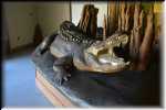 T Okefenokee Swamp Park Old Roy 12'-10in 650 lb 