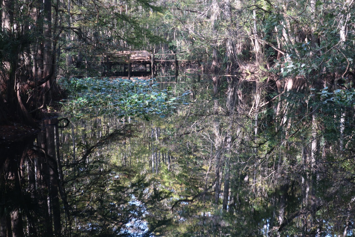 E Highland Hammock State Park 1234