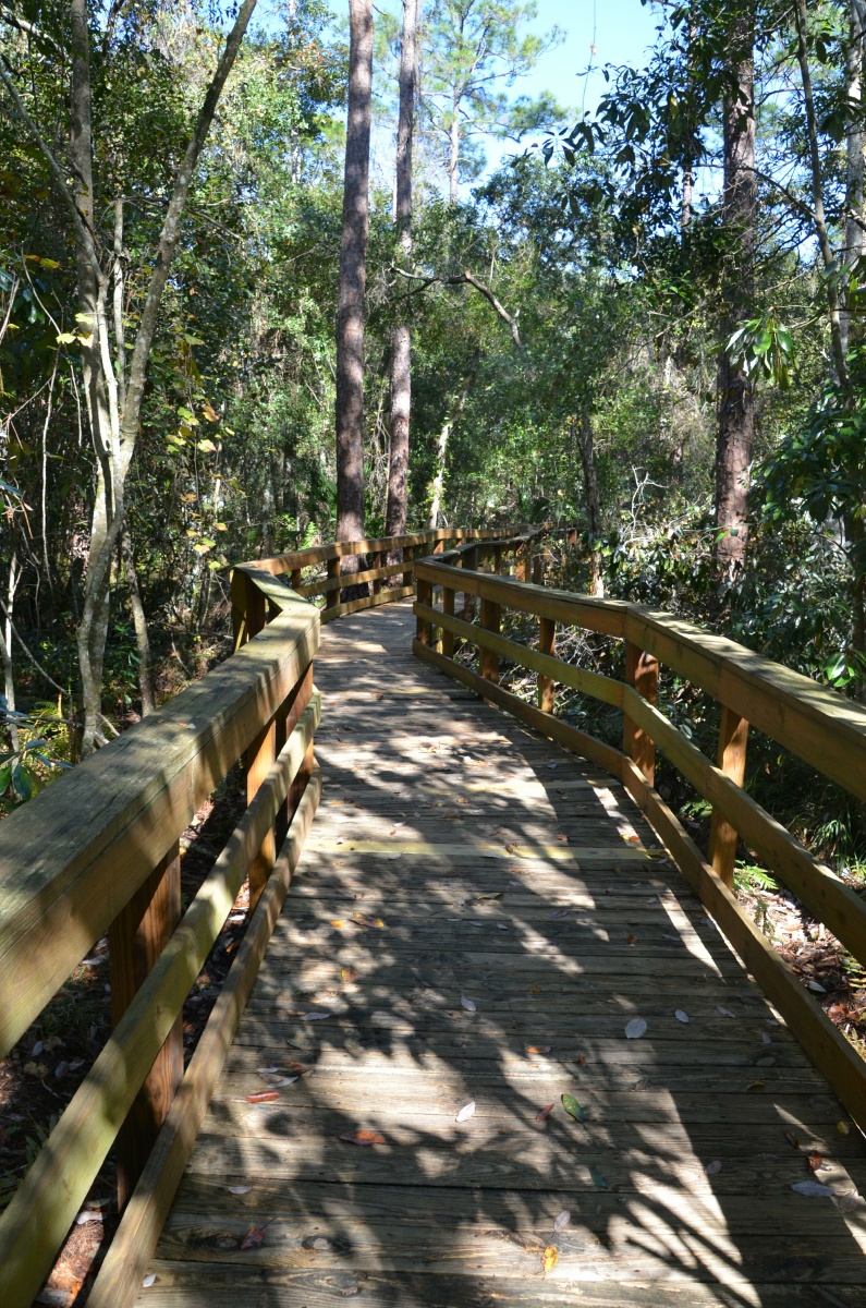 E Highland Hammock State Park 9716