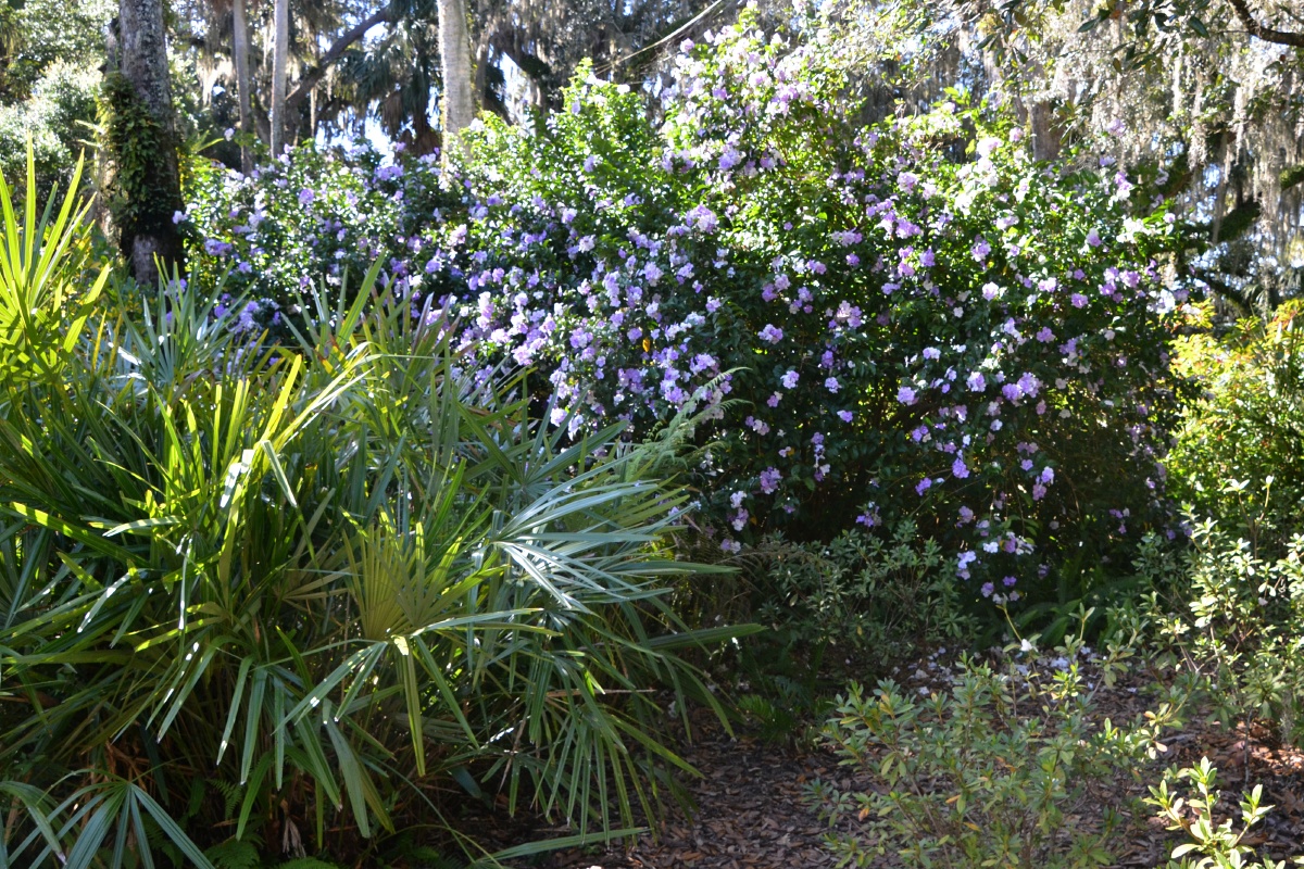 G Bok Tower Gardens 9759