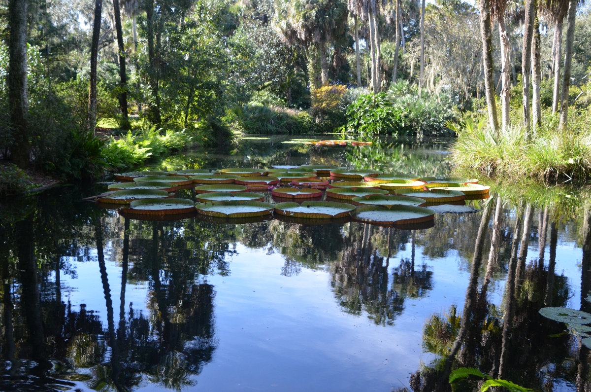 G Bok Tower Gardens 9787