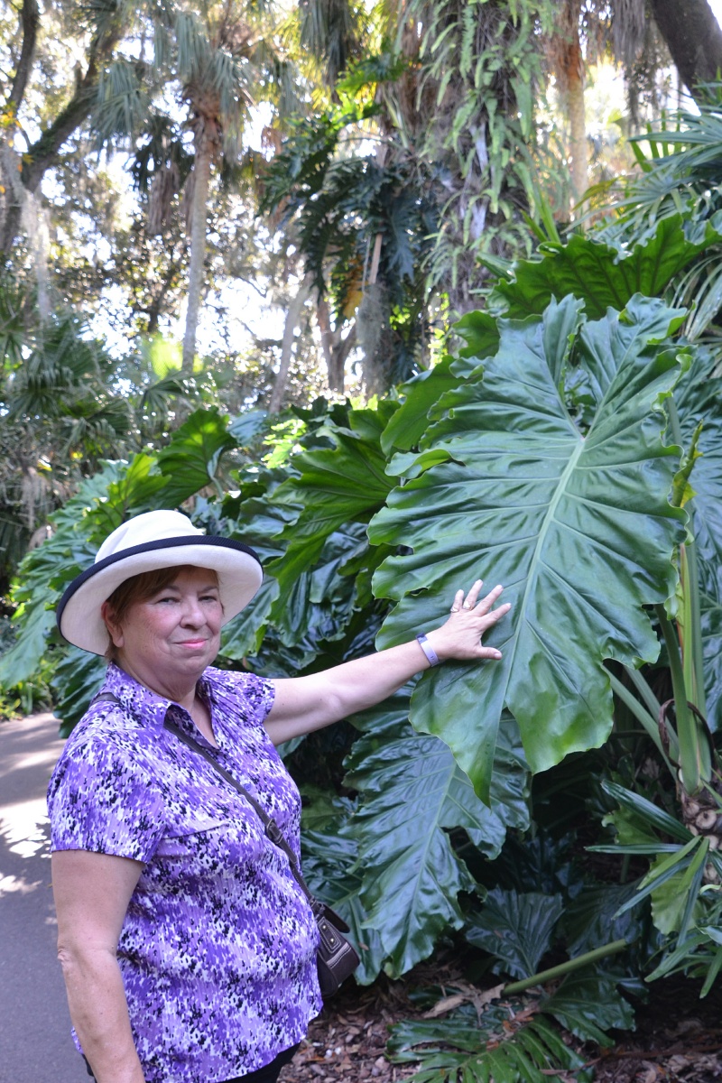 G Bok Tower Gardens 9788