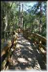 E Highland Hammock State Park 9716